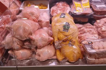 Pollo entero y pollo campero